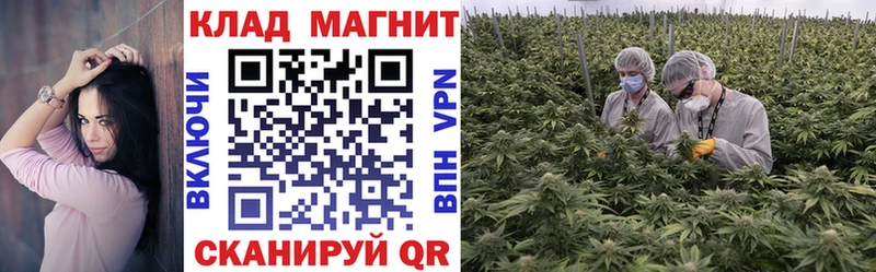 Купить наркоту Щучье КОКАИН  Меф  Альфа ПВП  ГАШ 