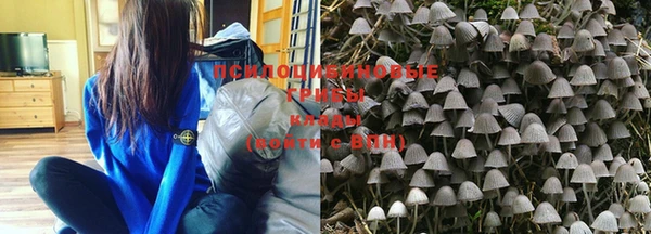винт Липки
