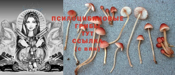 прущая мука Козловка