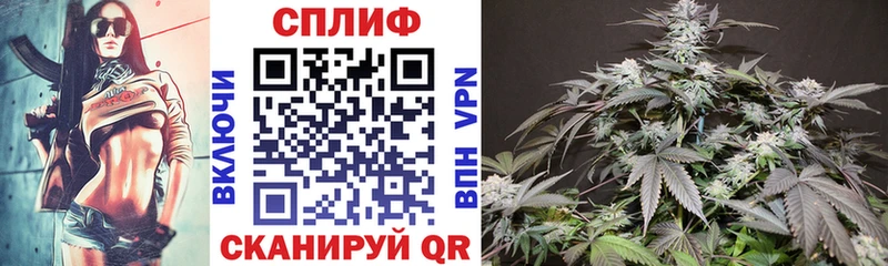 купить наркотики цена  Щучье  Шишки марихуана ГИДРОПОН 